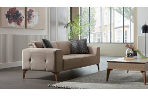 Двухместный диван-кровать Алвис(ALVIS) ALVIS-02